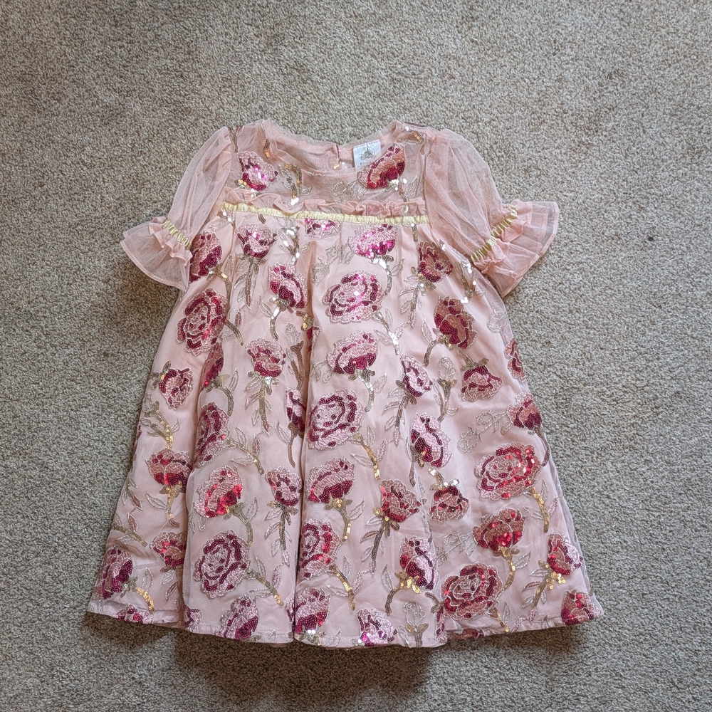 Disney Beauty And The Beast Rose Floral Pink and Gold Kids Dress